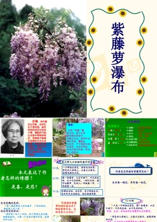 七年级语文上第四课紫藤萝瀑布课件人教版 课件