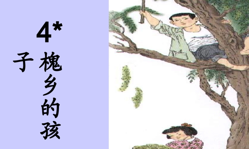 《槐乡的孩子》PPT