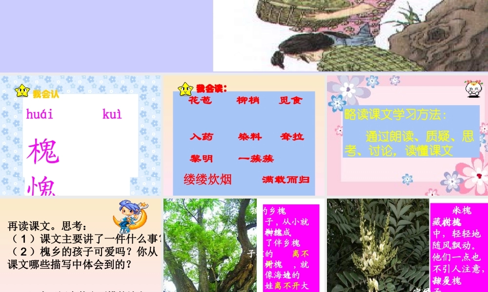 《槐乡的孩子》PPT