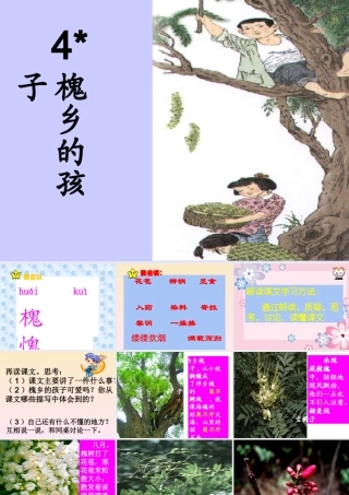 《槐乡的孩子》PPT