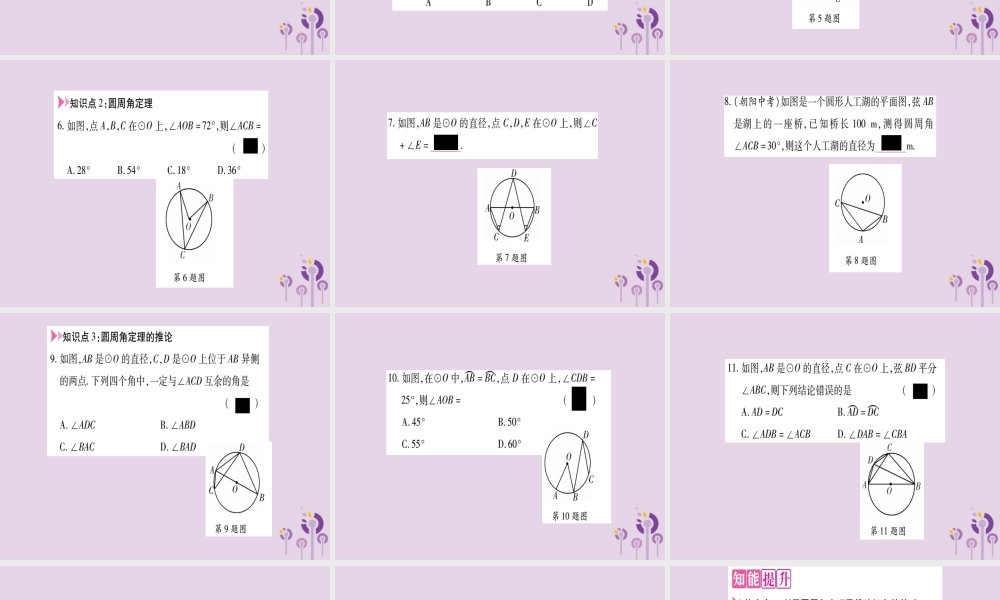 九年级数学上册 第二十四章 圆 241 圆的有关性质 2414 第1课时作业课件 (新版)新人教版 课件