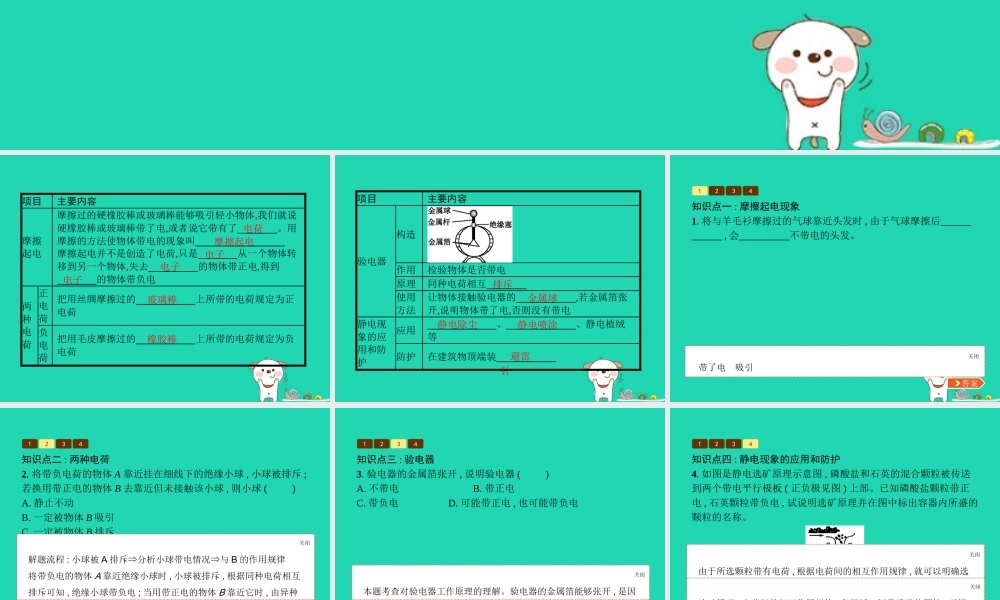 九年级物理全册 113 电荷课件 (新版)北师大版 课件