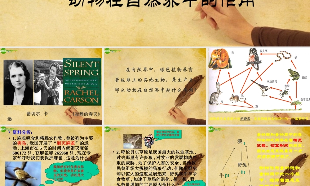 八年级生物上册 动物在自然界的作用课件 人教新课标版 课件