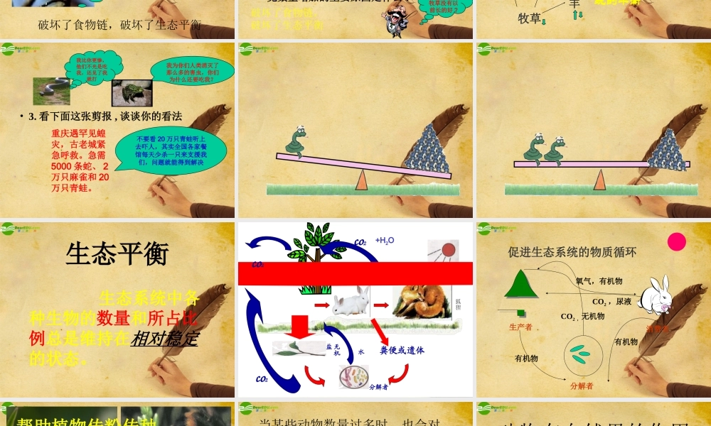 八年级生物上册 动物在自然界的作用课件 人教新课标版 课件