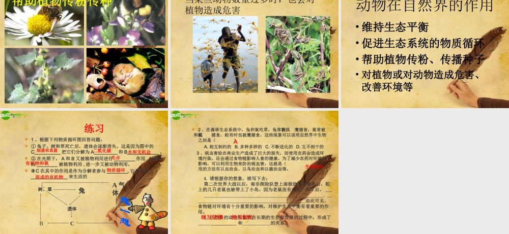 八年级生物上册 动物在自然界的作用课件 人教新课标版 课件