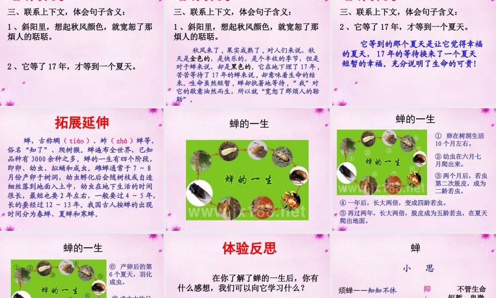 七年级语文上册 18 短文两篇课件3 (新版)新人教版 课件