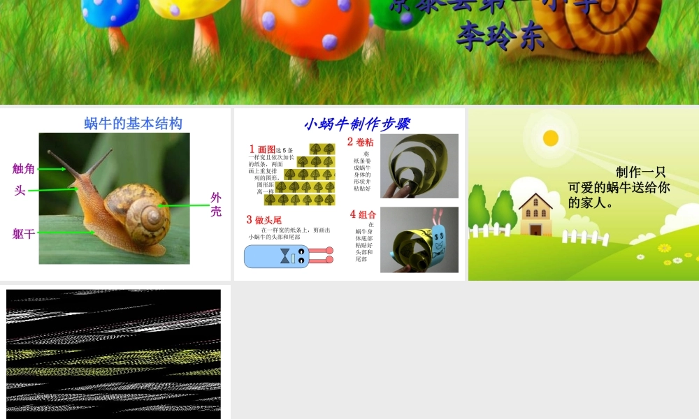 小蜗牛慢慢爬 (2)