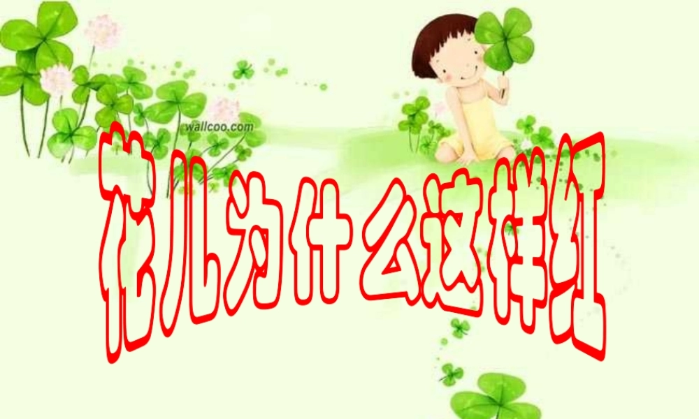 八年级语文下册 课堂教学资料 第15课 (花儿为什么这样红)课件 苏教版 课件