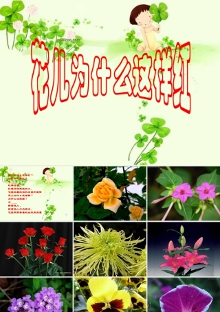 八年级语文下册 课堂教学资料 第15课 (花儿为什么这样红)课件 苏教版 课件