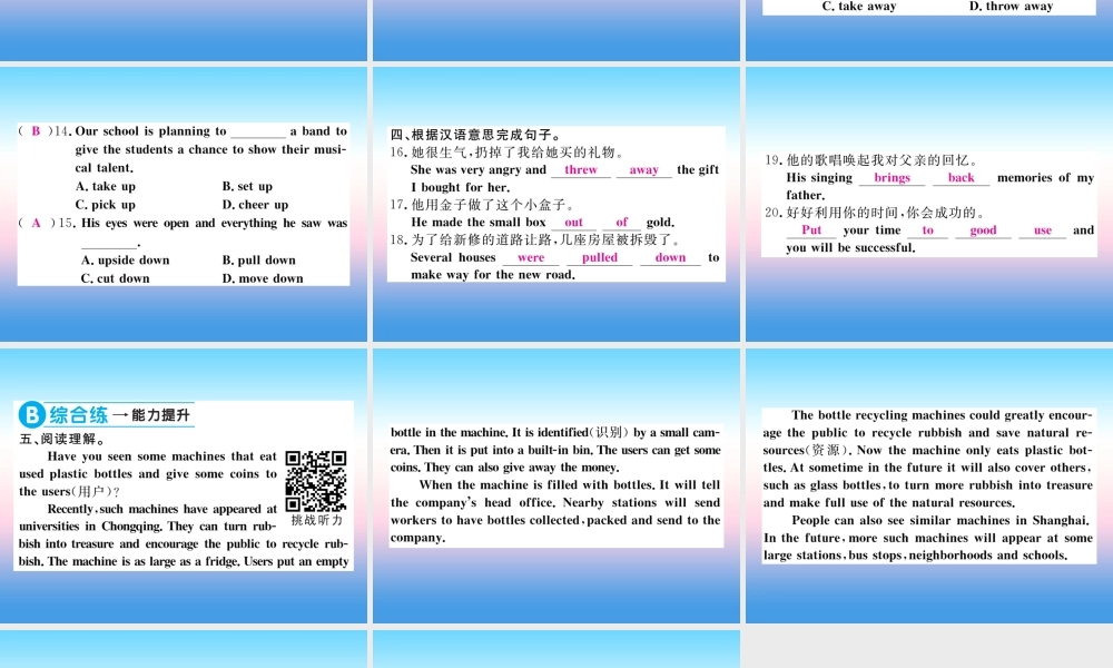 九年级英语全册 Unit 13 We re trying to save the earth(第5课时)习题课件 (新版)人教新目标版 课件
