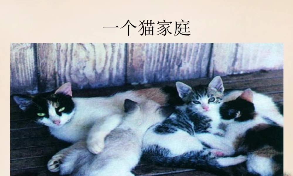 八年级生物下册 第二批教学能手评选 7.2.1 基因控制生物的性状课件 (新版)新人教版 课件