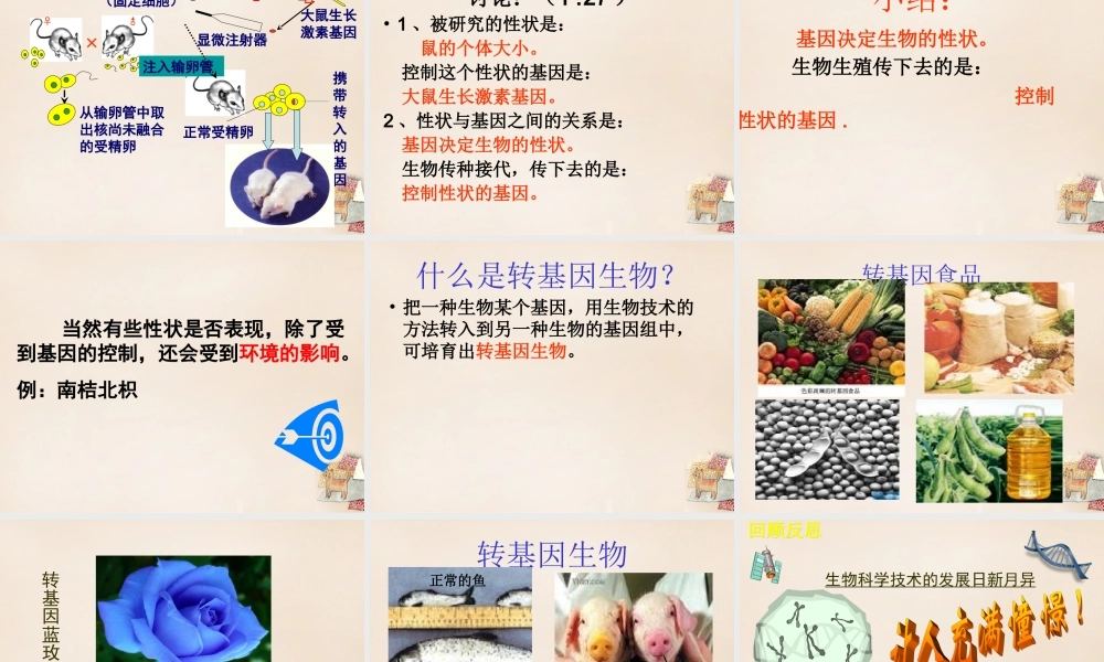 八年级生物下册 第二批教学能手评选 7.2.1 基因控制生物的性状课件 (新版)新人教版 课件