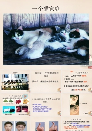 八年级生物下册 第二批教学能手评选 7.2.1 基因控制生物的性状课件 (新版)新人教版 课件