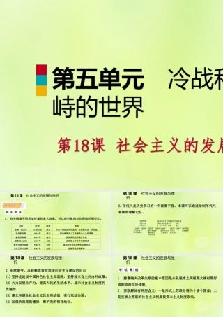 九年级历史下册 第五单元 冷战和美苏对峙的世界 第18课 社会主义的发展与挫折课件 新人教版 课件