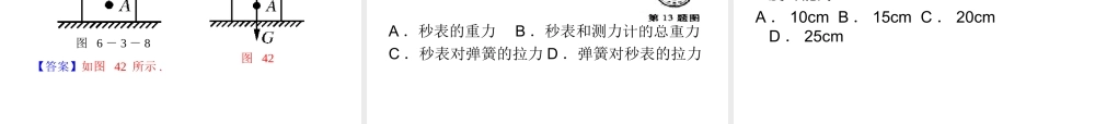 新人教版八年级下(2013年春季使用)PPT第七章力复习课件：弹力_重力_摩擦力