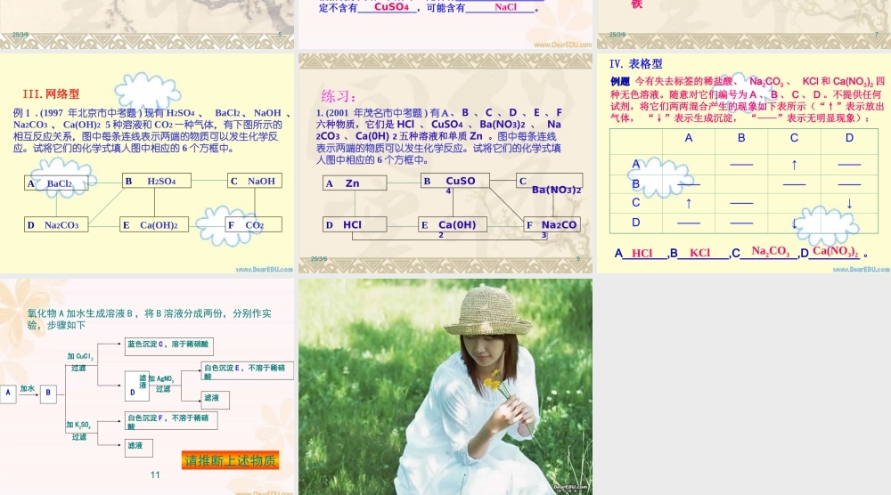 人教版中考化学物质推断题的类型及解法 试题