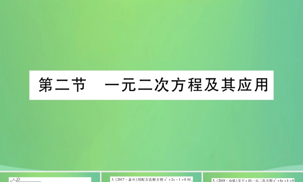 中考数学复习 第一轮 考点系统复习 第二章 方程(组)与不等式(组)第二节 一元二次方程及其应用(精练)课件