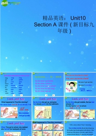 九年级英语 Unit10 Section A课件 人教新目标版 课件