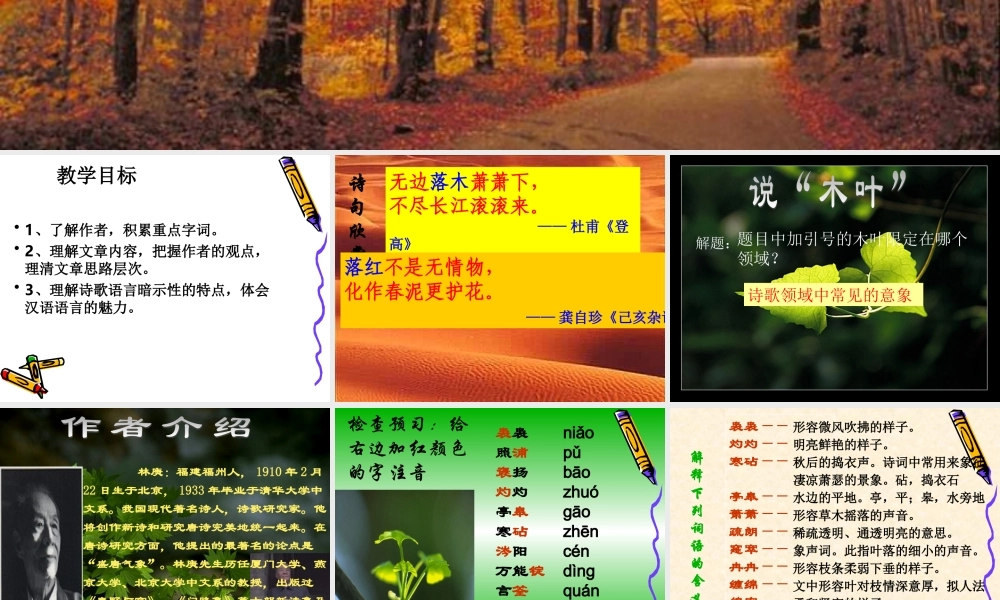 《说木叶》课件