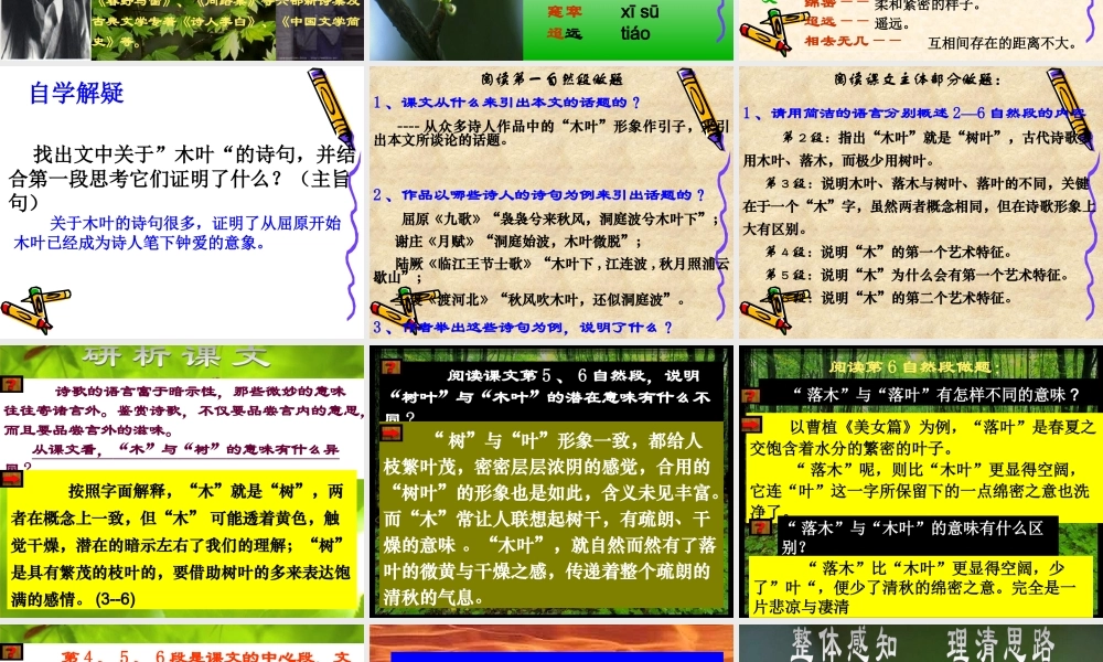 《说木叶》课件