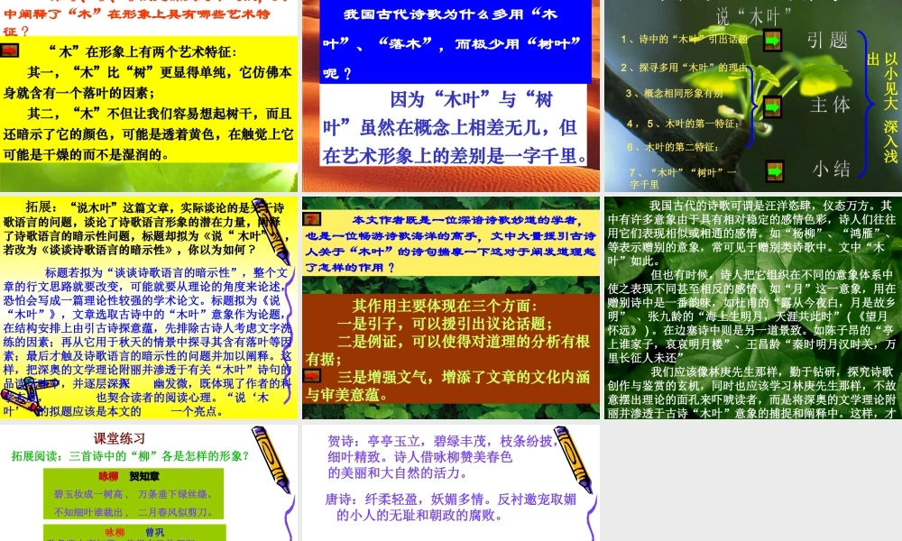 《说木叶》课件