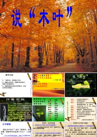 《说木叶》课件