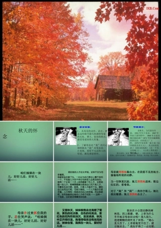 七年级语文上册 第一单元 2(秋天的怀念)教学课件 (新版)新人教版 课件