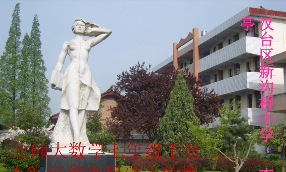 七年级数学下册 4.3(停留在黑砖上的概率)课件 北师大版 课件