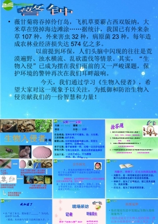 八年级语文上册 (生物入侵者)课件 人教新课标版 课件