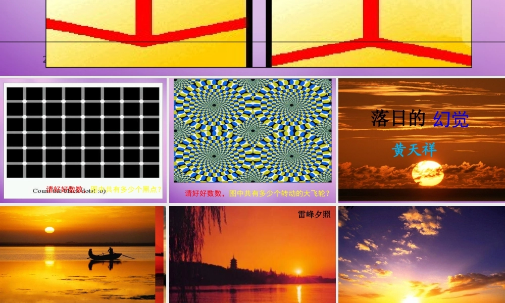 八年级语文上册 日的幻觉课件1 新人教版 课件