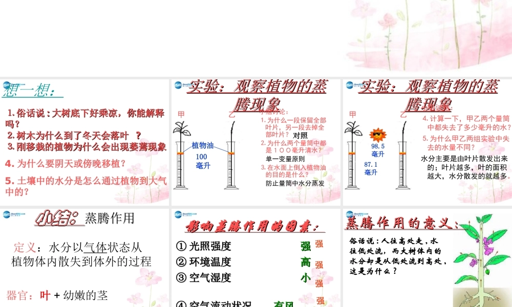 中学七年级生物上册 2.1.2 绿色植物的蒸腾作用课件 (新版)济南版 课件