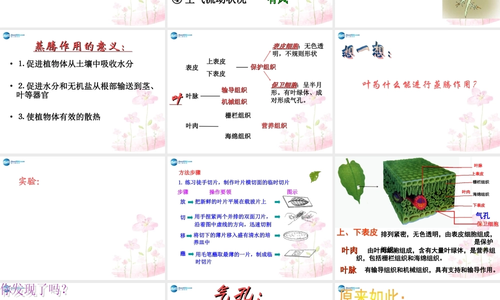 中学七年级生物上册 2.1.2 绿色植物的蒸腾作用课件 (新版)济南版 课件