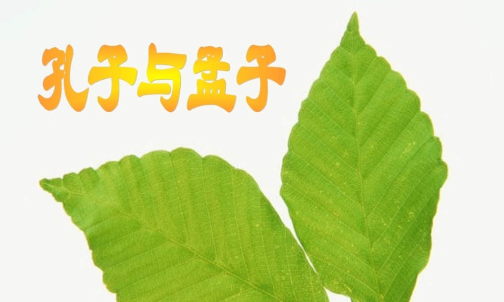 八年级语文下综合性学习 我所了解的孔子和孟子课件一 鲁教版 课件