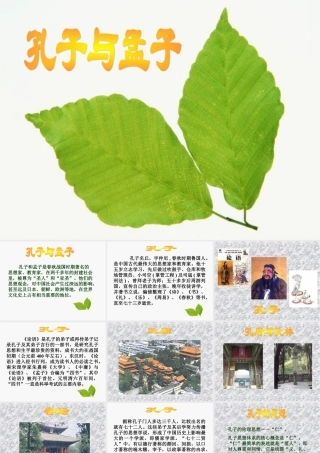 八年级语文下综合性学习 我所了解的孔子和孟子课件一 鲁教版 课件