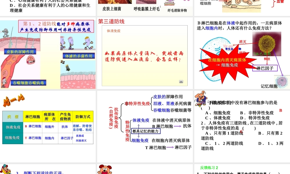 九年级生物 人体健康3 课件