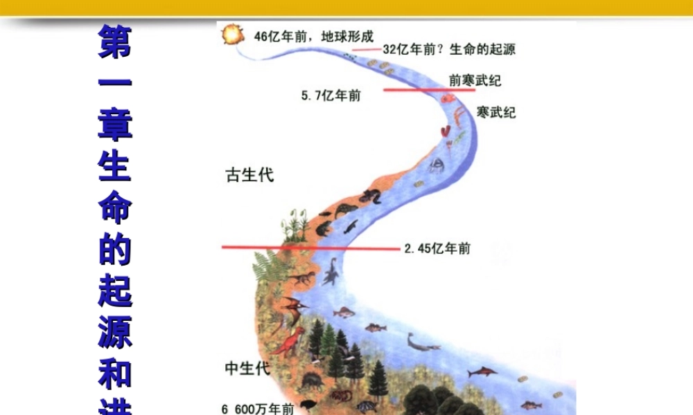 八年级生物下册 第一章第一节生命的起源课件 济南版 课件