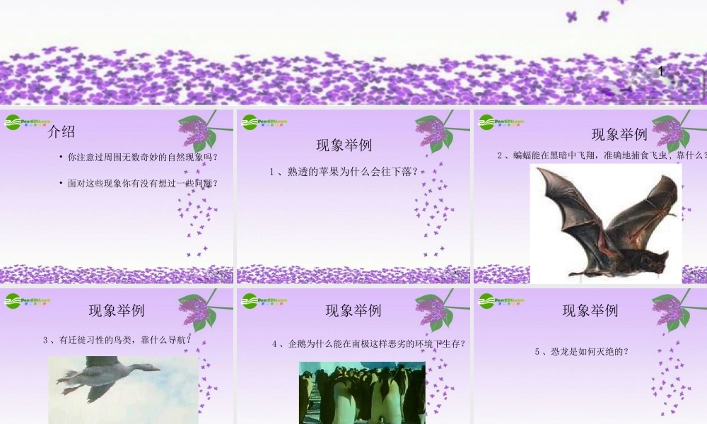 七年级科学上册 0.1探索奇妙的自然界课件 华师大版 课件