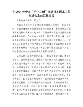 在2024年全省“两企三新”党建强基固本工程推进会上的汇报发言
