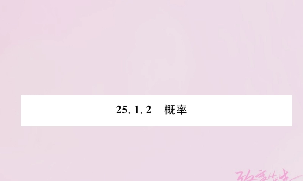 九年级数学上册 251 随机事件与概率 2512 概率练习课件 (新版)新人教版 课件