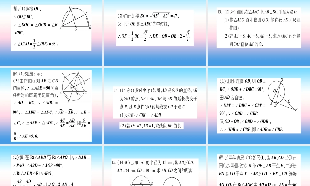 九年级数学下册 双休作业(四)作业课件 (新版)湘教版 课件