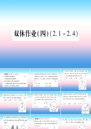 九年级数学下册 双休作业(四)作业课件 (新版)湘教版 课件