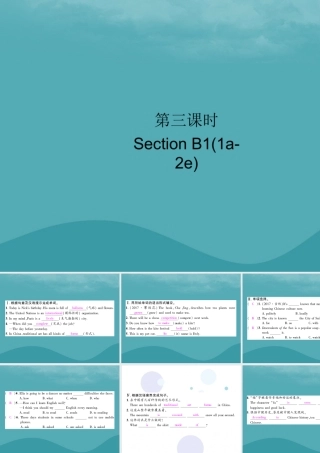 九年级英语全册 Unit 5 What are the shirts made of(第3课时)Section B1(1a 2e)习题课件 (新版)人教新目标版 课件