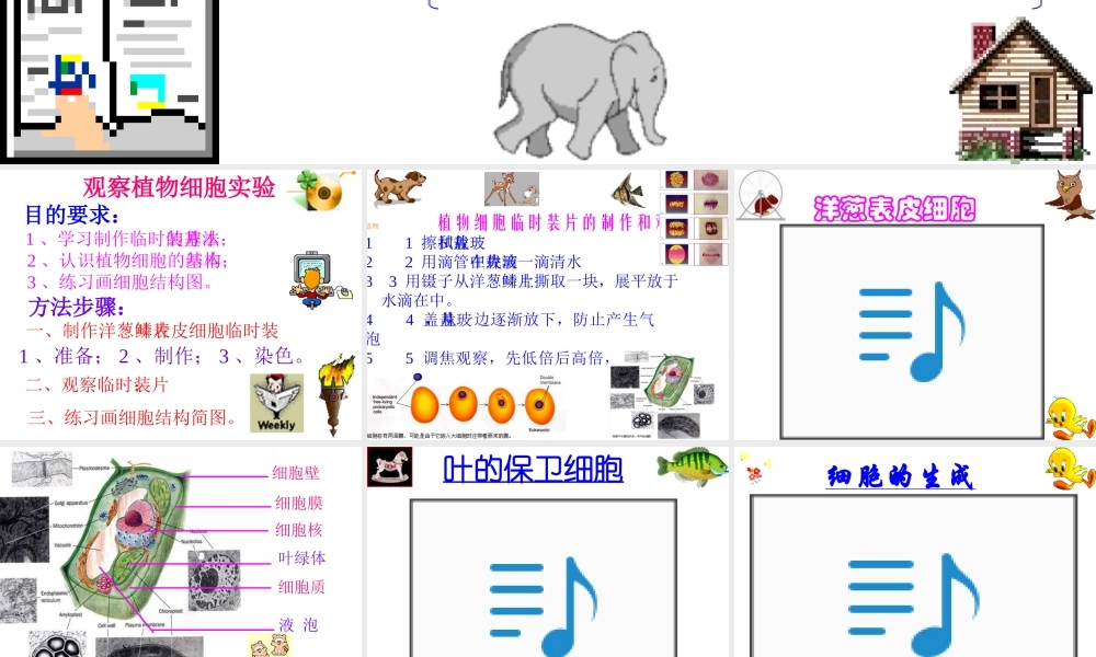 七年级生物观察植物细胞课件3 鲁教版 课件