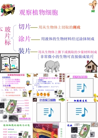 七年级生物观察植物细胞课件3 鲁教版 课件