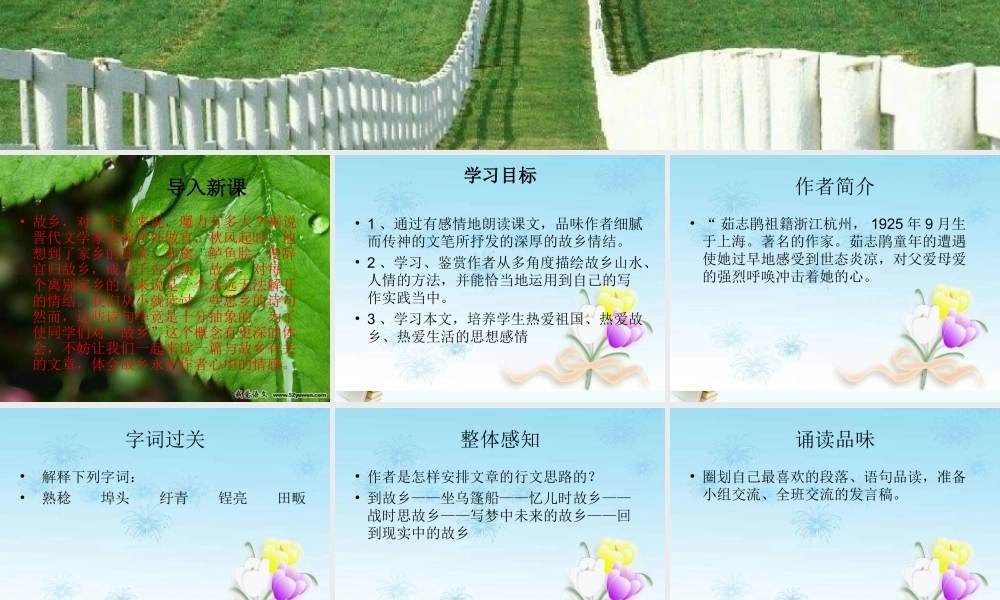 七年级语文上册 (故乡情)课件 沪教版 课件