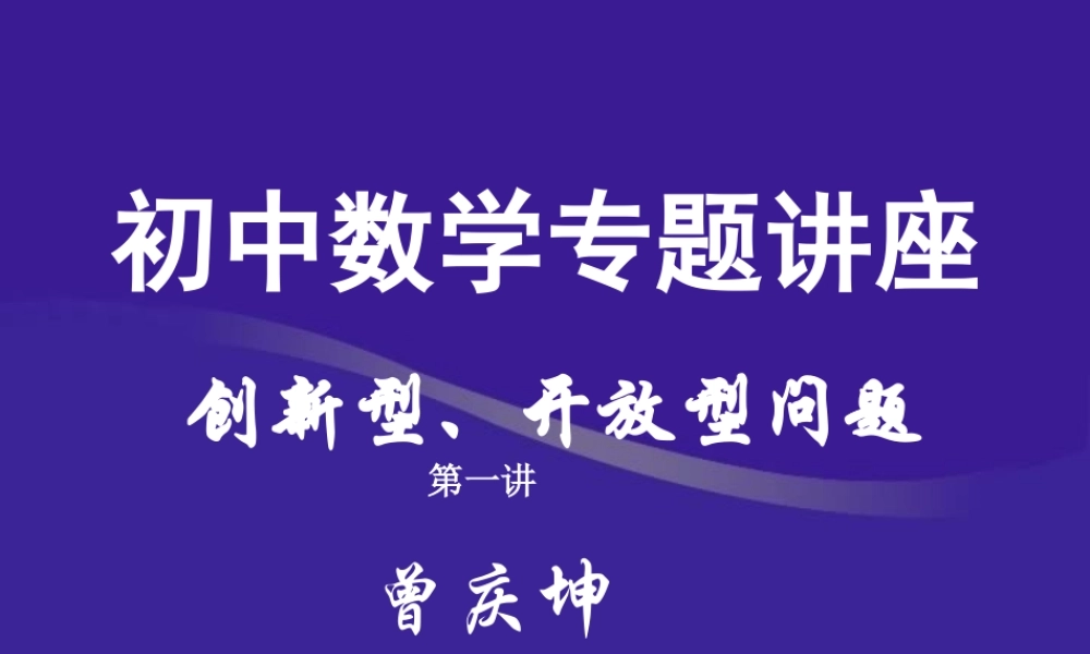 中考数学创新性开放性题型讲解一 试题