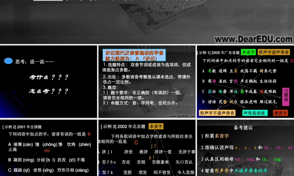 字音 字形高考语文复习课件 人教版 课件
