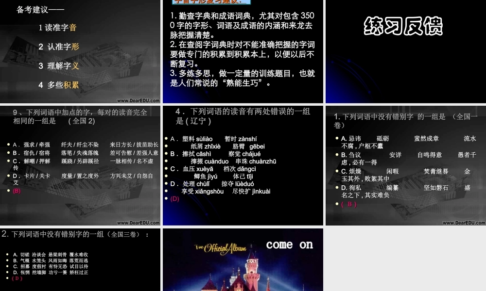 字音 字形高考语文复习课件 人教版 课件