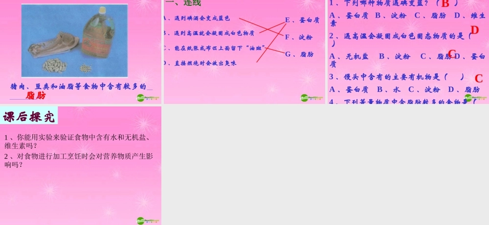 七年级生物 饮食与营养课件 苏教版 课件