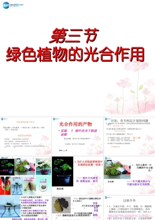 中学七年级生物上册 2.1.3 绿色植物的光合作用课件 (新版)济南版 课件